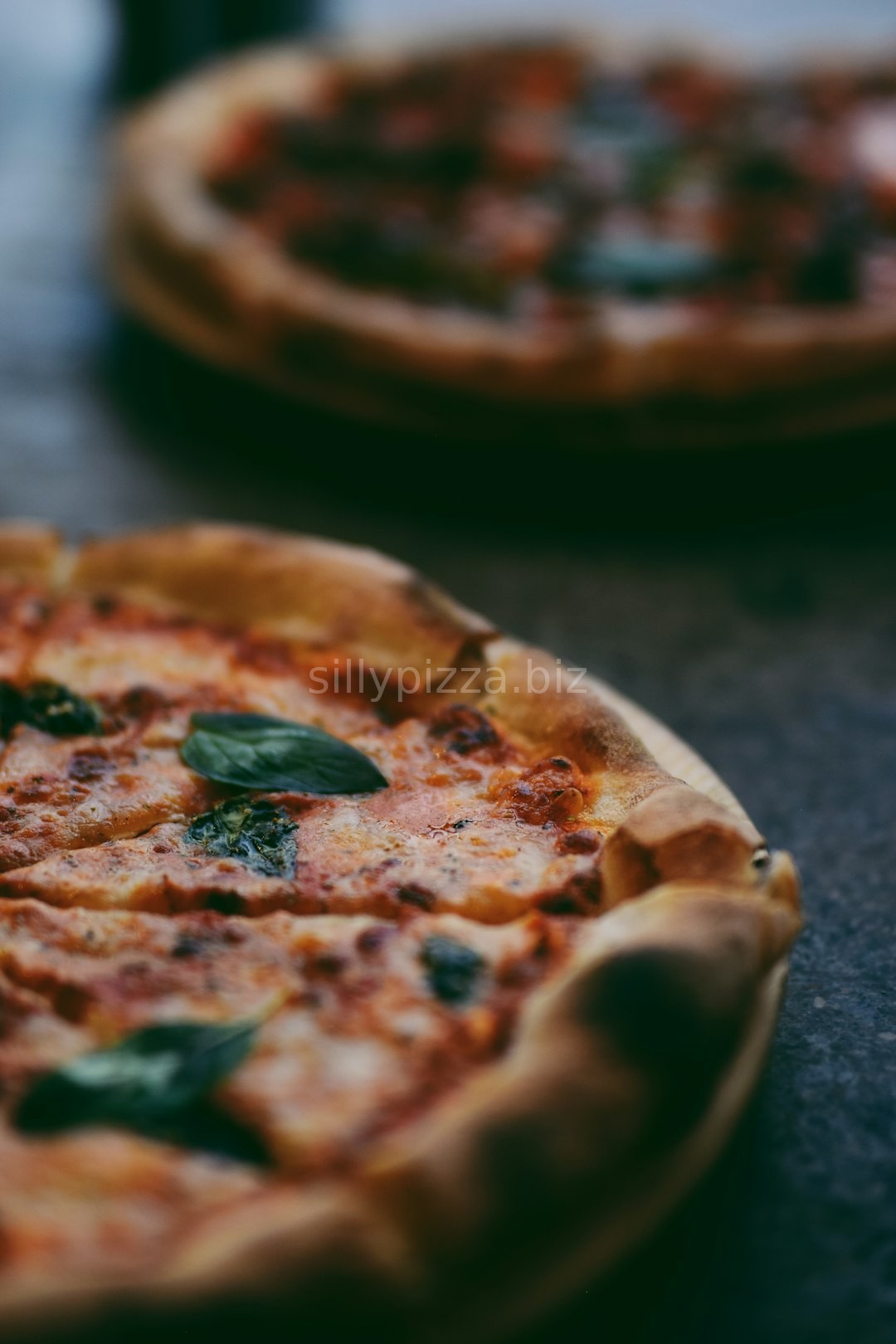 Stone Baked Pizza